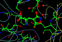 Modelarea interactiunii receptor glutamat-AMPA