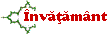 Suport pentru cursuri