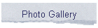 Photo
            Gallery
