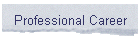 Professional Career