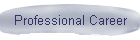 Professional Career