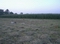 Picture 1